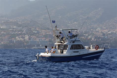 marlin fishing holidays madeira|Madeira Marlin Fishing Experience .